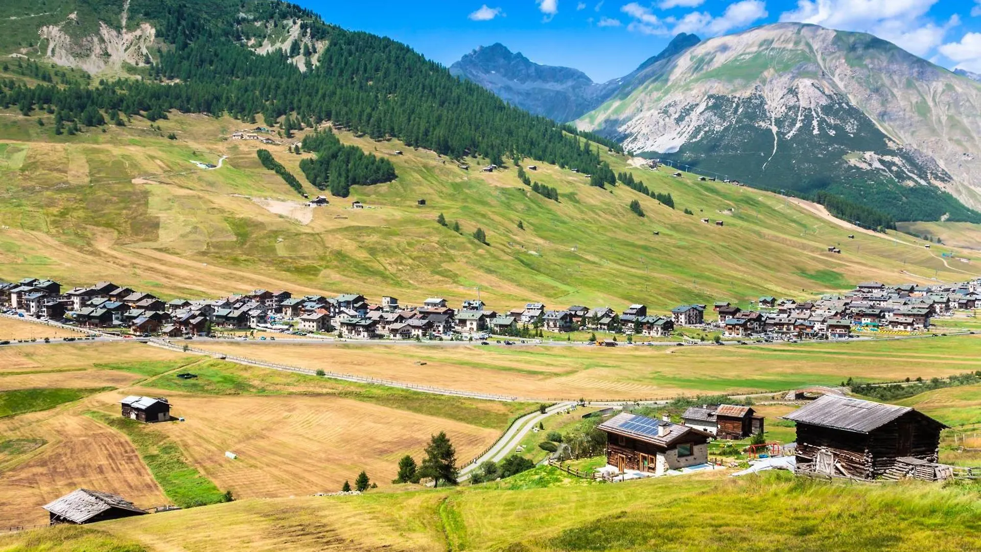 Apartment Arianna - Happy Rentals Livigno Italy